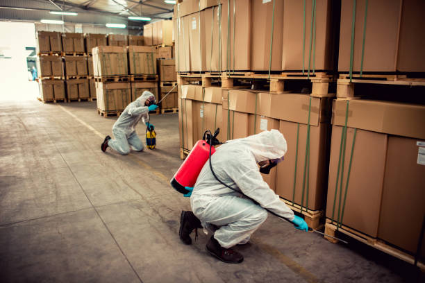 Best Local Pest Control Services  in Melissa, TX