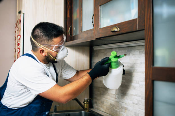 Best Affordable Pest Control Services  in Melissa, TX