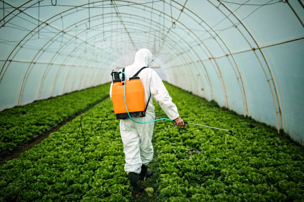 Best Mosquito Control Services  in Melissa, TX