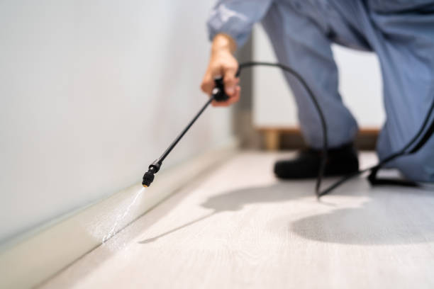 Insect Control in Melissa, TX