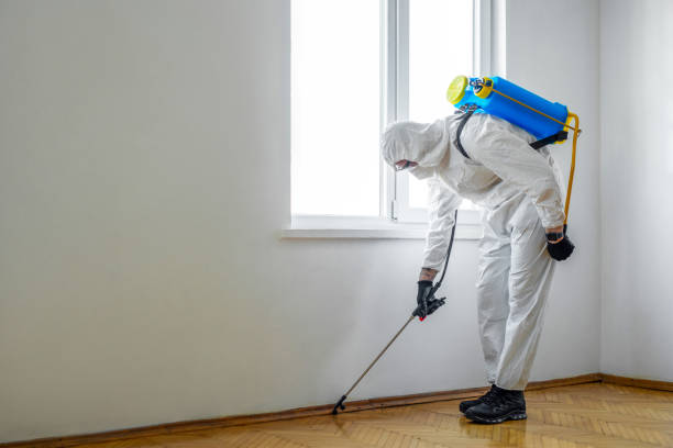 Professional Pest Control in Melissa, TX