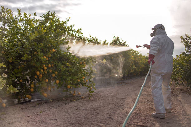 Best Pest Inspection Near Me  in Melissa, TX