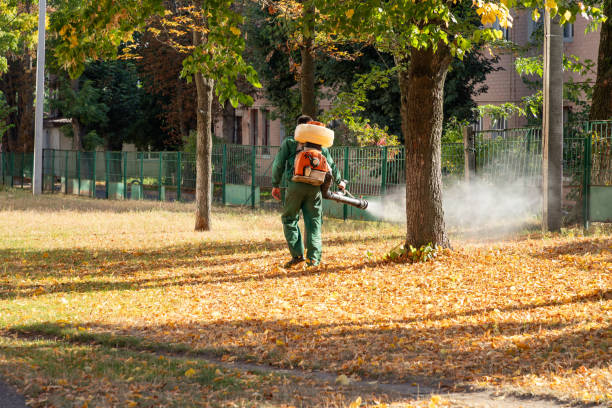 Best Residential Pest Control  in Melissa, TX