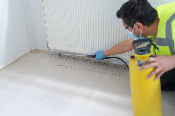 Best Ant Control Services  in Melissa, TX