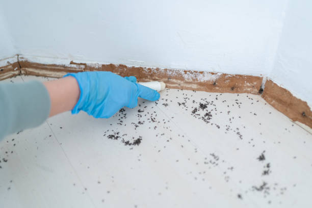  Melissa, TX Pest Control Pros