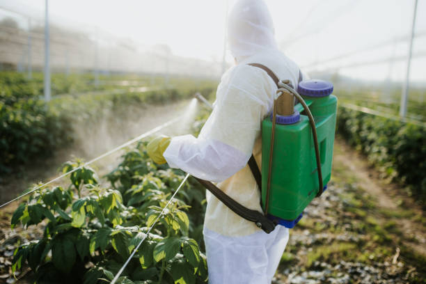 Best Emergency Pest Control  in Melissa, TX